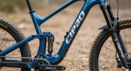 complex advanced suspension systems