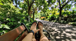 Access To Urban Woodlands Linked With Lower Use Of Antidepressants
