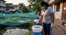 Cases Of High-risk Malaria Strain In Mumbai Jump 535% In 10 Years To 2,382 - The Times Of India