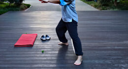 14 Best Tai Chi Exercise Equipment for Guided Practice in 2027